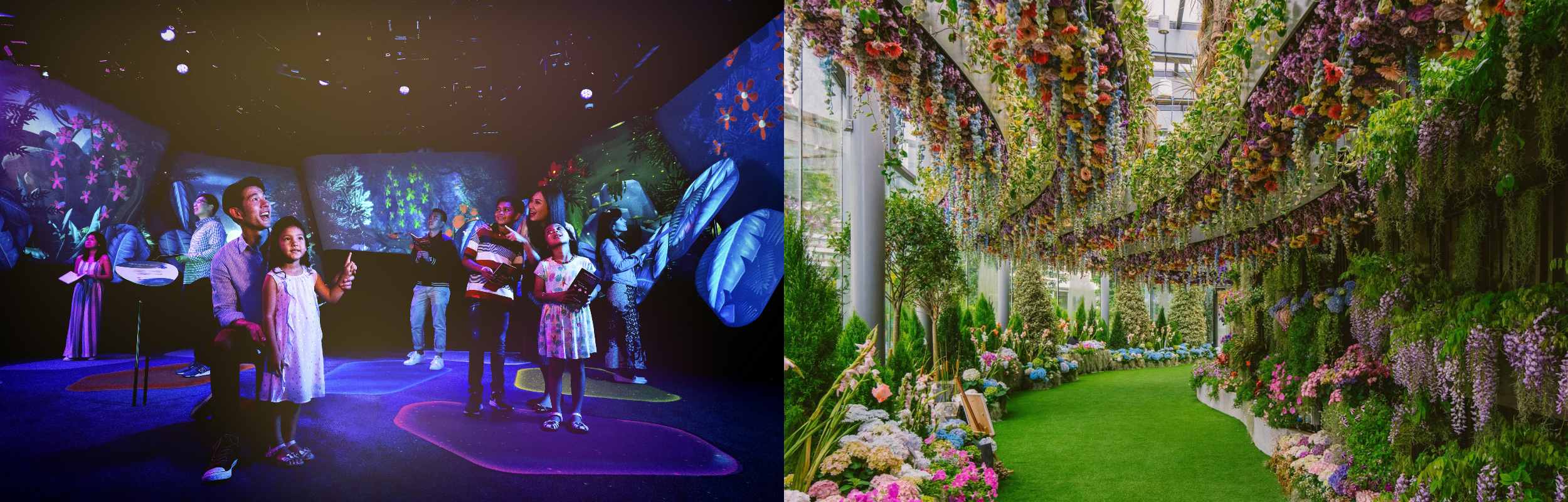 Jewel Changi Airport’s Experience Studio and Gardens by the Bay’s Floral Fantasy 4D tour